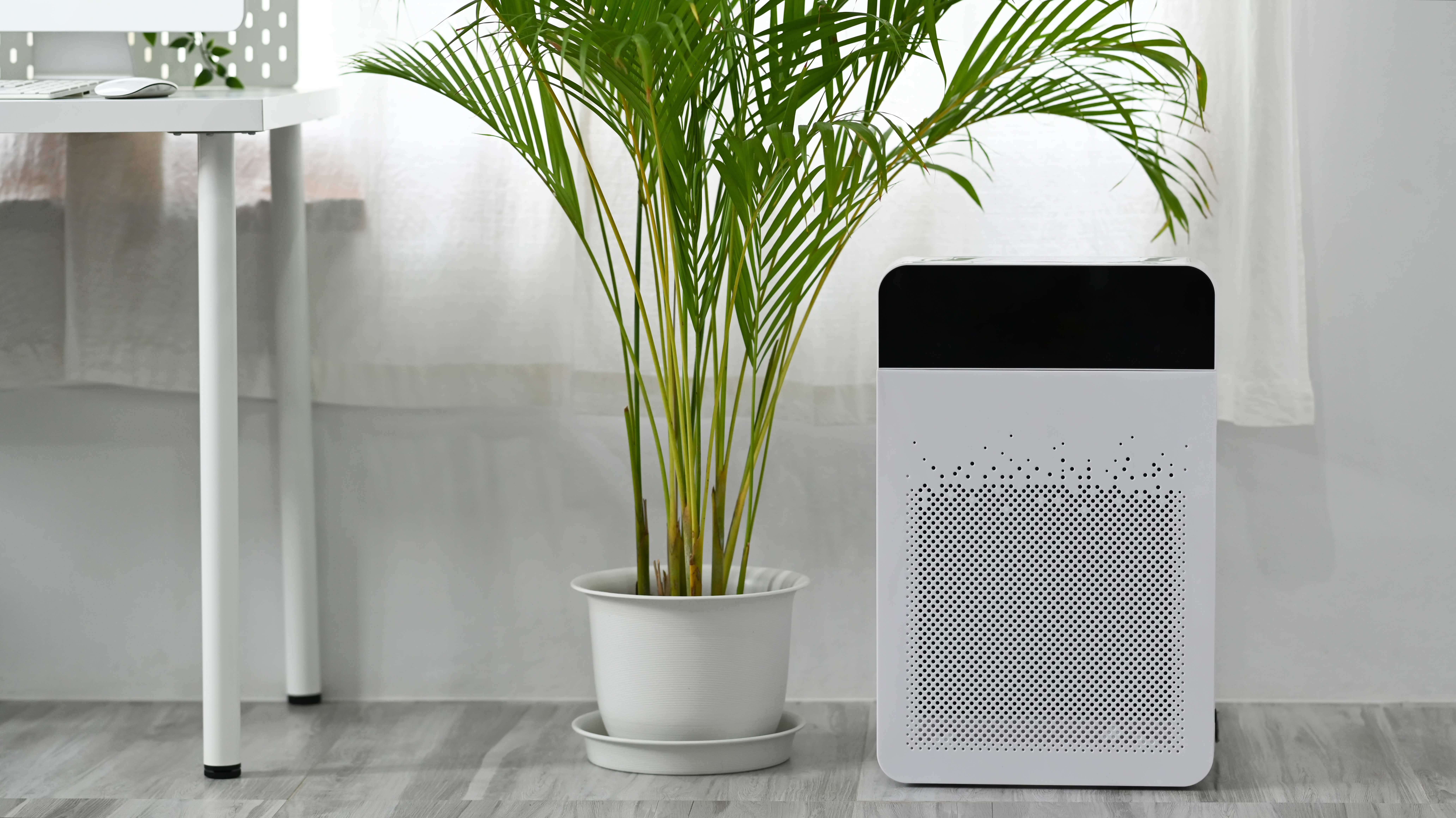 Modern air purifier