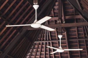 Light-Fixtures-and-Ceiling-Fans